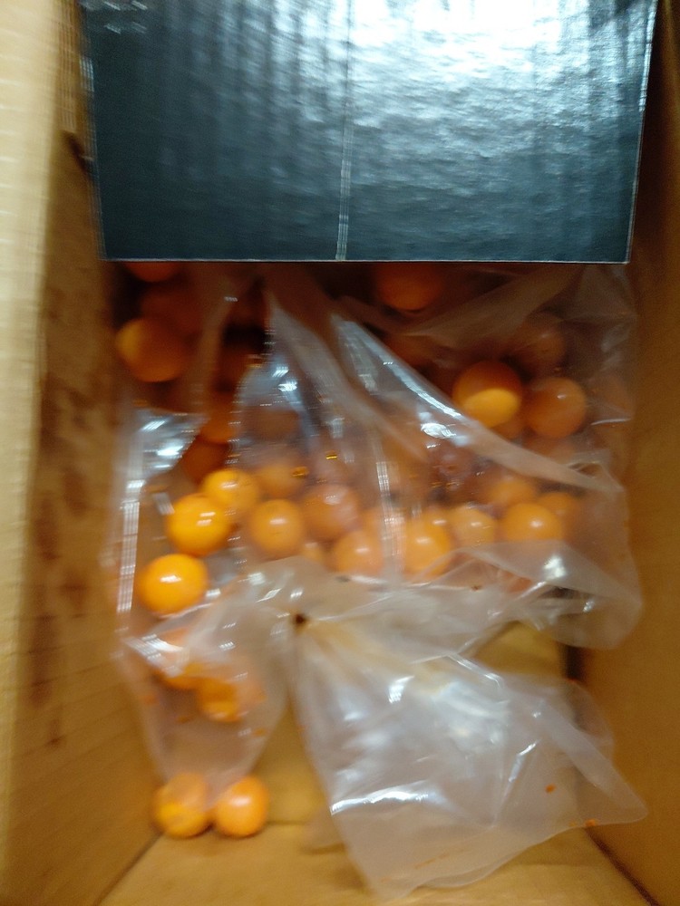 2 Brass Eagle Paintball Guns With Extras