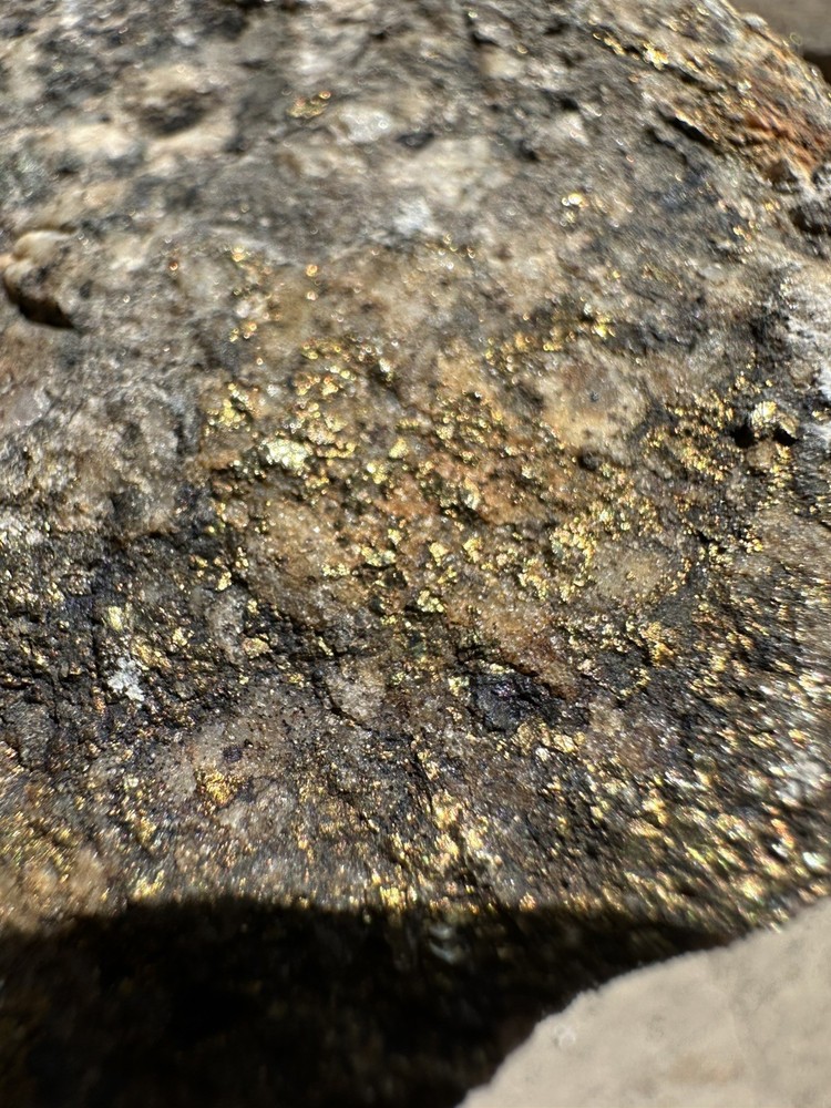 GOLD ORE SAMPLE SPECIMENS 5.0 lbs