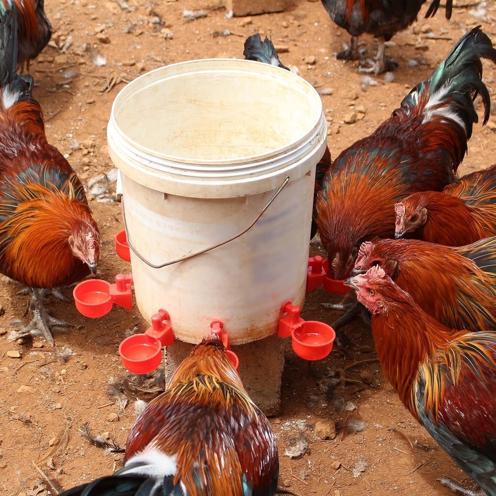 Chicken Water Cups (6 Pack), Large Automatic Chicken Waterer Cups