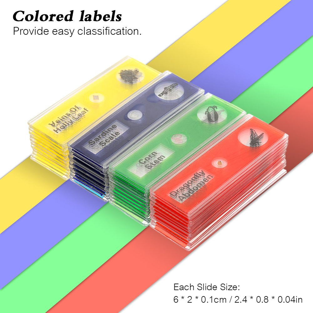Prepared Microscope Slides Set, 48Pcs Plastic Animals Insects Plants Specimens