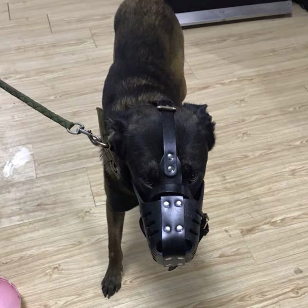 Adjustable Leather Dog Muzzle for Bite Prevention Training Chew Proof Design