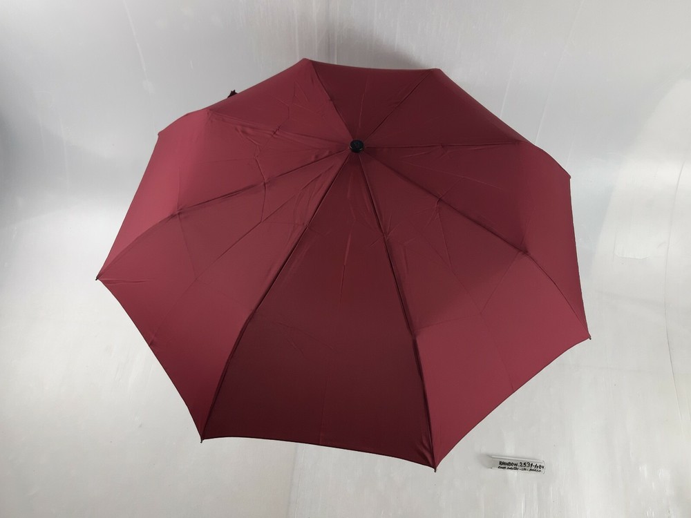 Unisex Mini Umbrella - Automatic - 8 Sticks - Bordeaux - 25311 - Rainbow