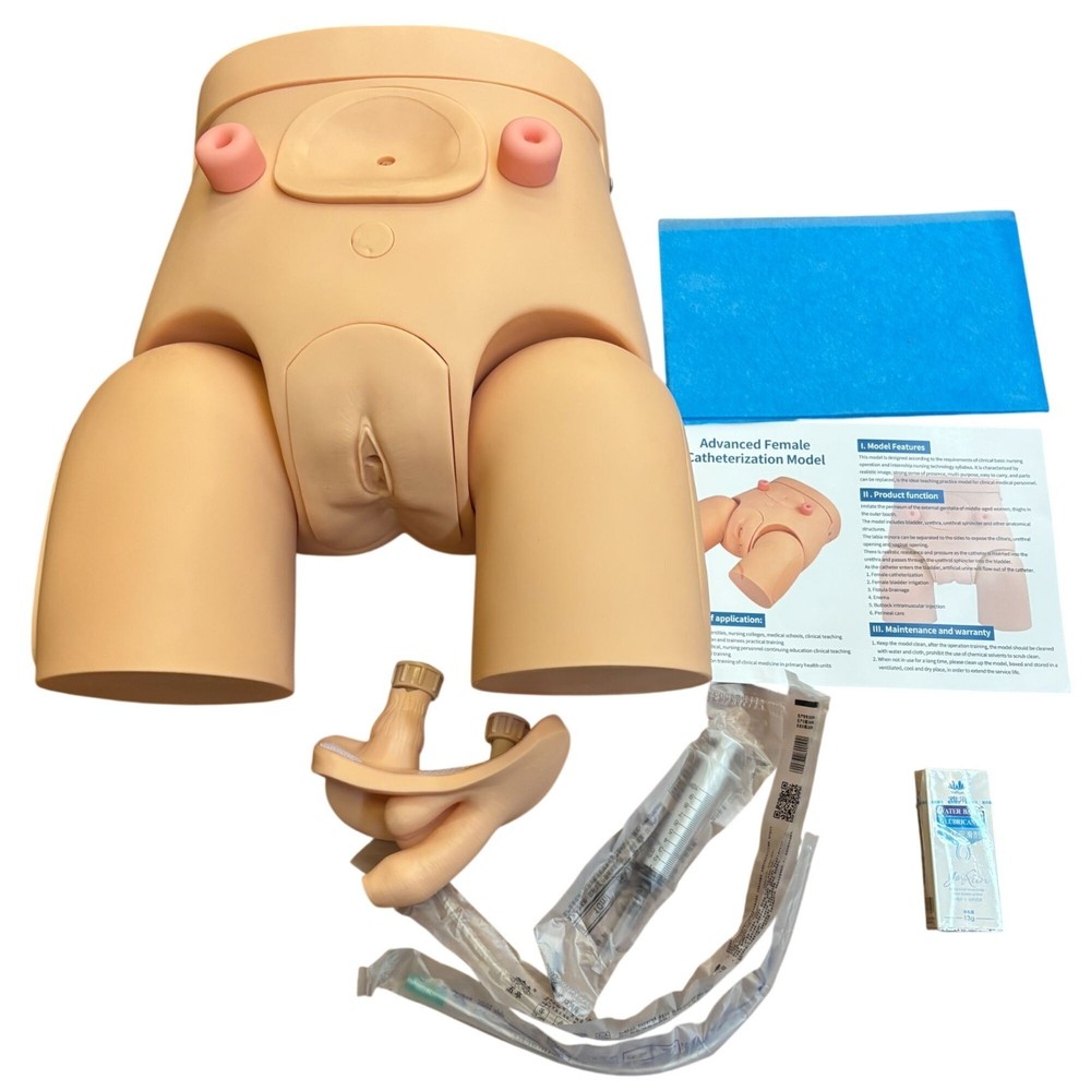 Male/Female Catheterization Model