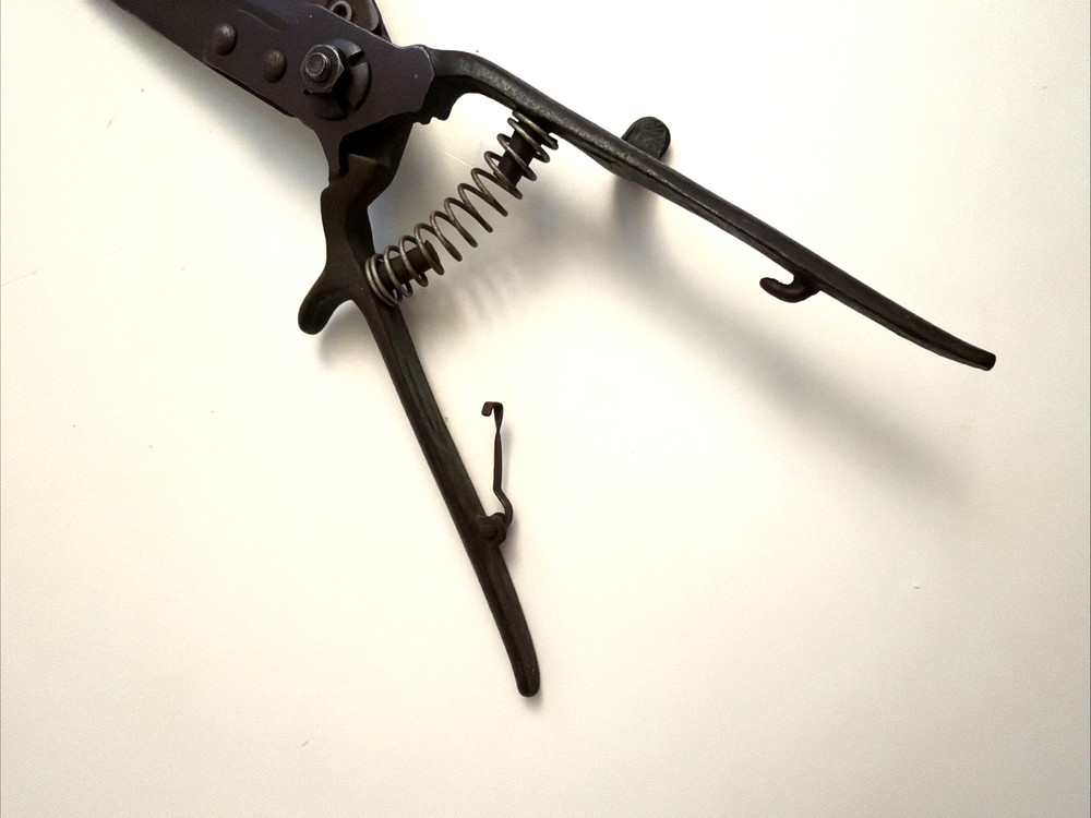 Garden / Grass Shears Vintage 12" Coil Spring Sharp! Nice Old Tool!