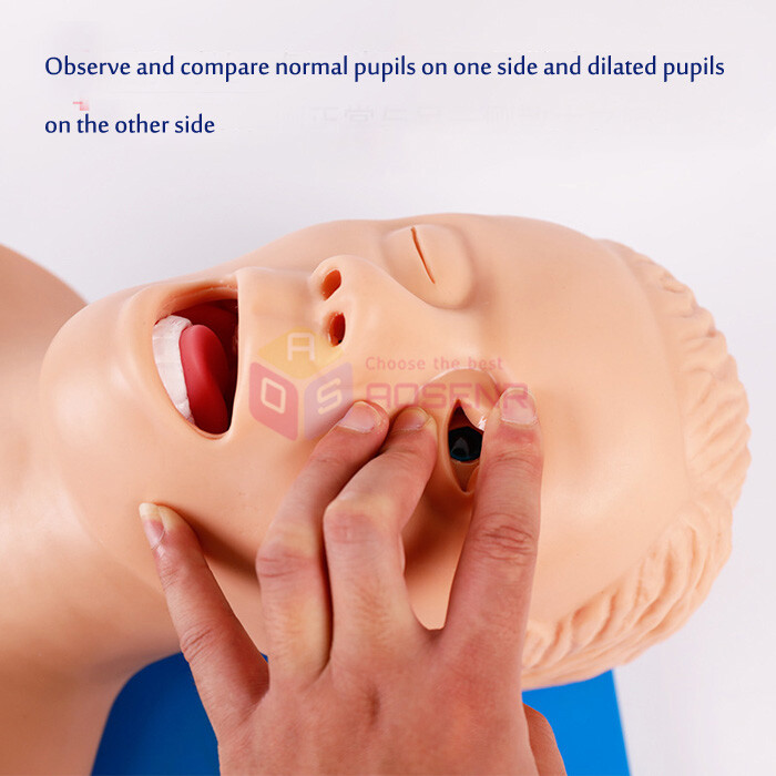 Intubation Manikin Study Teaching Model Training Manikins Patient Simulators