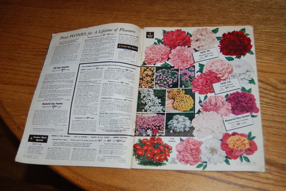 1963 Montgomery Ward garden catalog