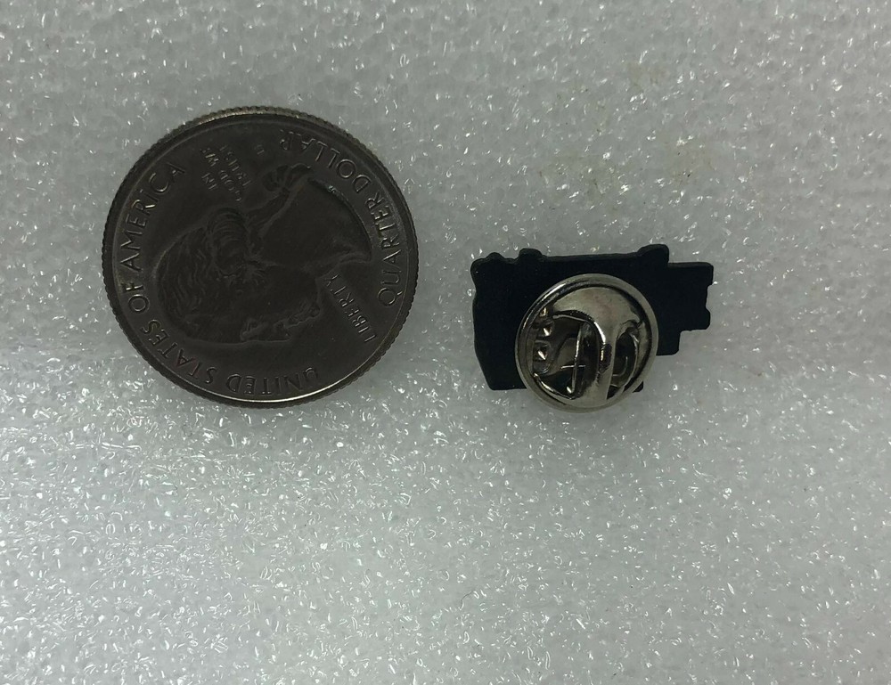 Because Their Future Is Now Pin