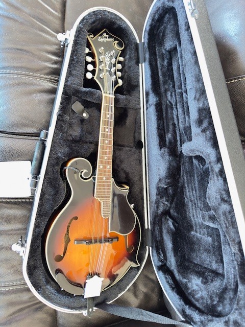 Epiphone MM-50/VS mandolin