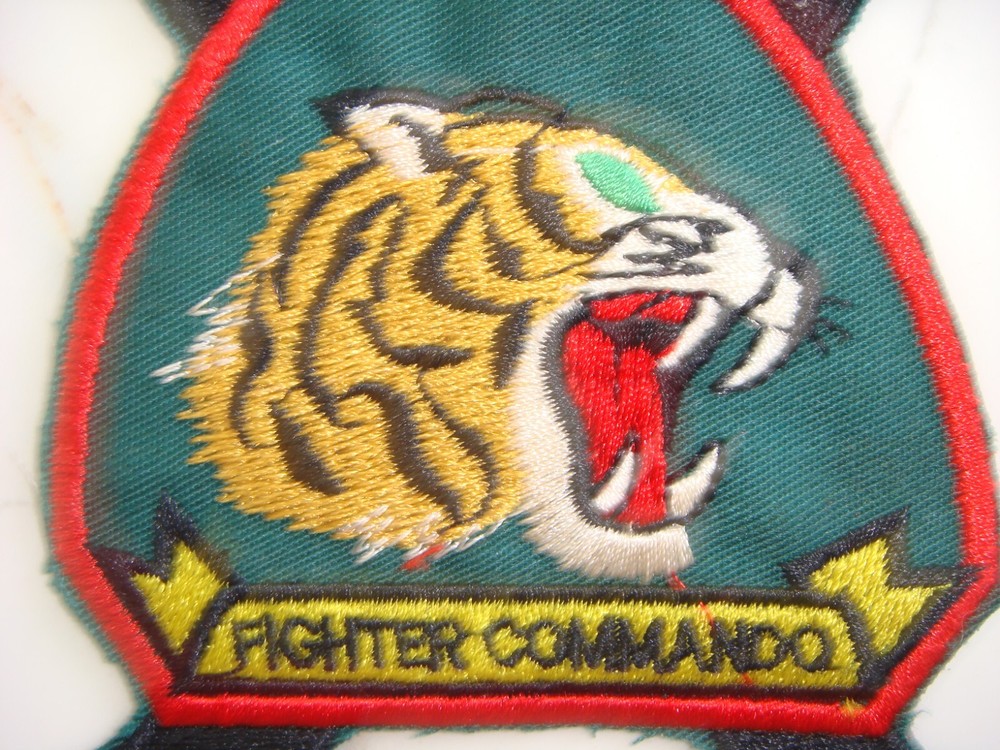 USAF 10th FIGHTER COMMANDO SQUADRON 4503rd TFS, VIETNAM WAR PATCH