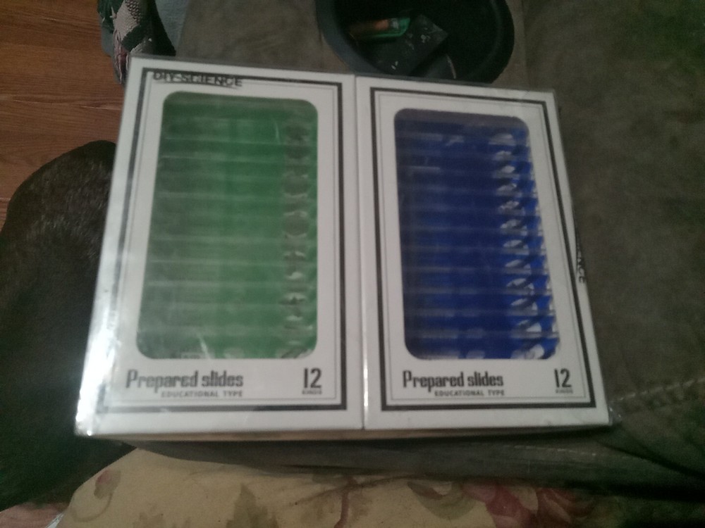 DIY SCIENCE (48) PLASTIC PREPARED MICROSCOPE EDUCATIONAL TYPE SLIDES SEALED