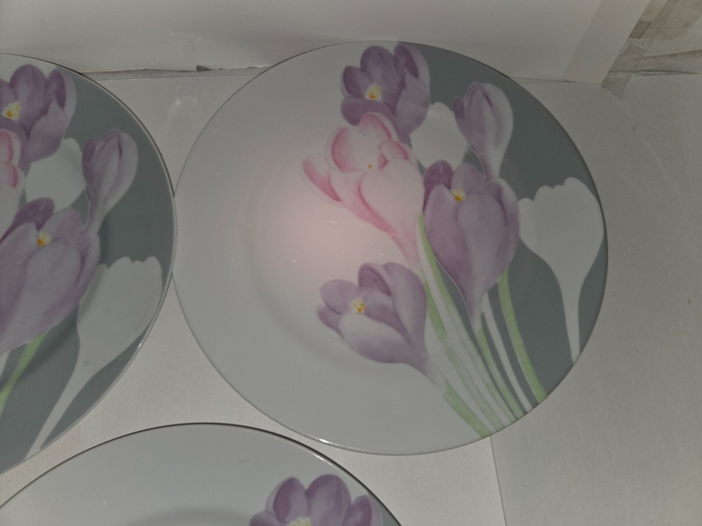Set of4 Mikasa Spring Crocus Dinner Plates LAB02 10 5/8"