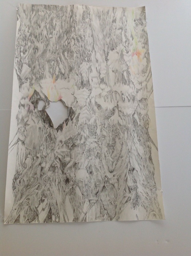 Cameron Soren Unitled 2007 Pencil on Paper