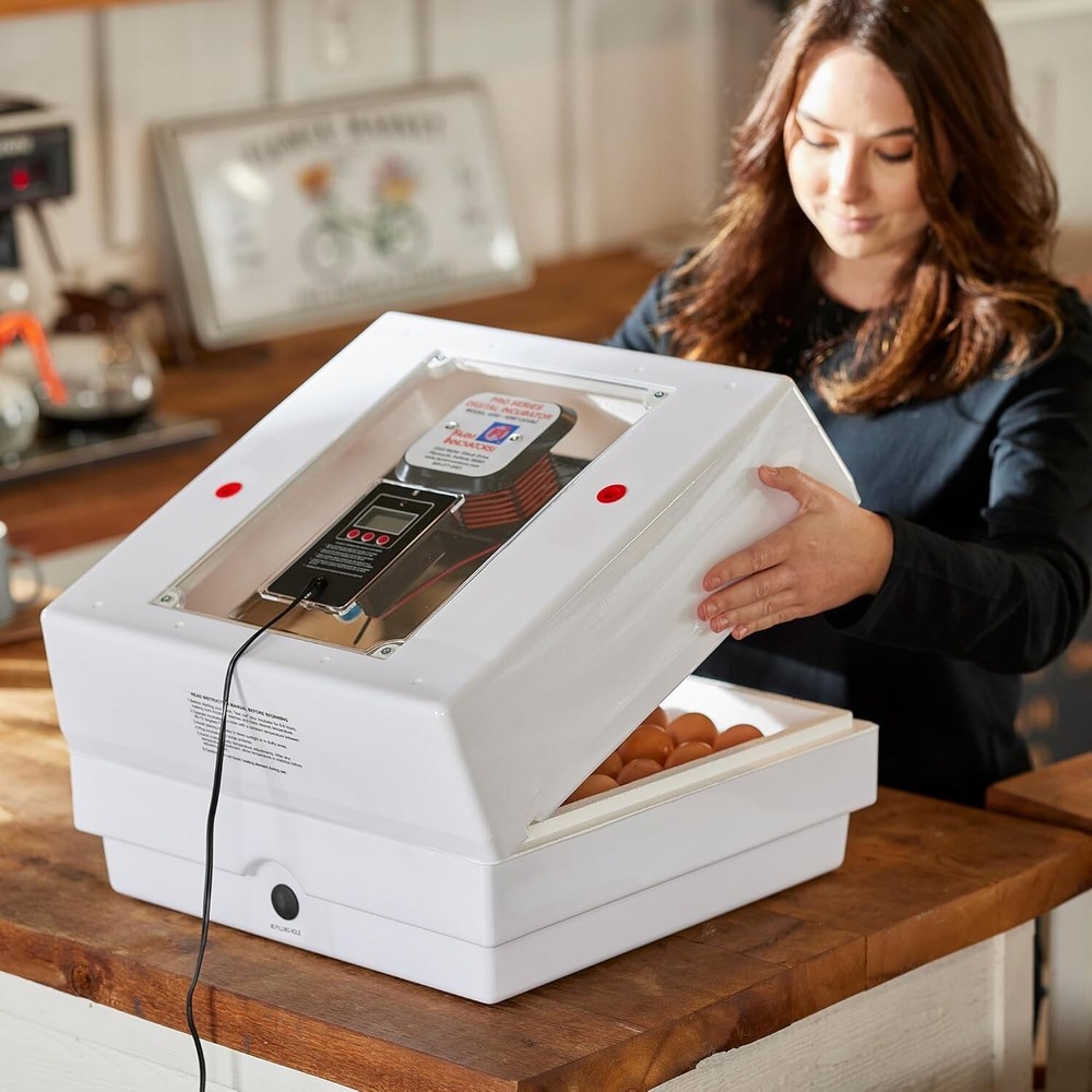 Automatic Egg Incubator with 360-Degree Viewing - Perfect for 41 Eggs Hatching