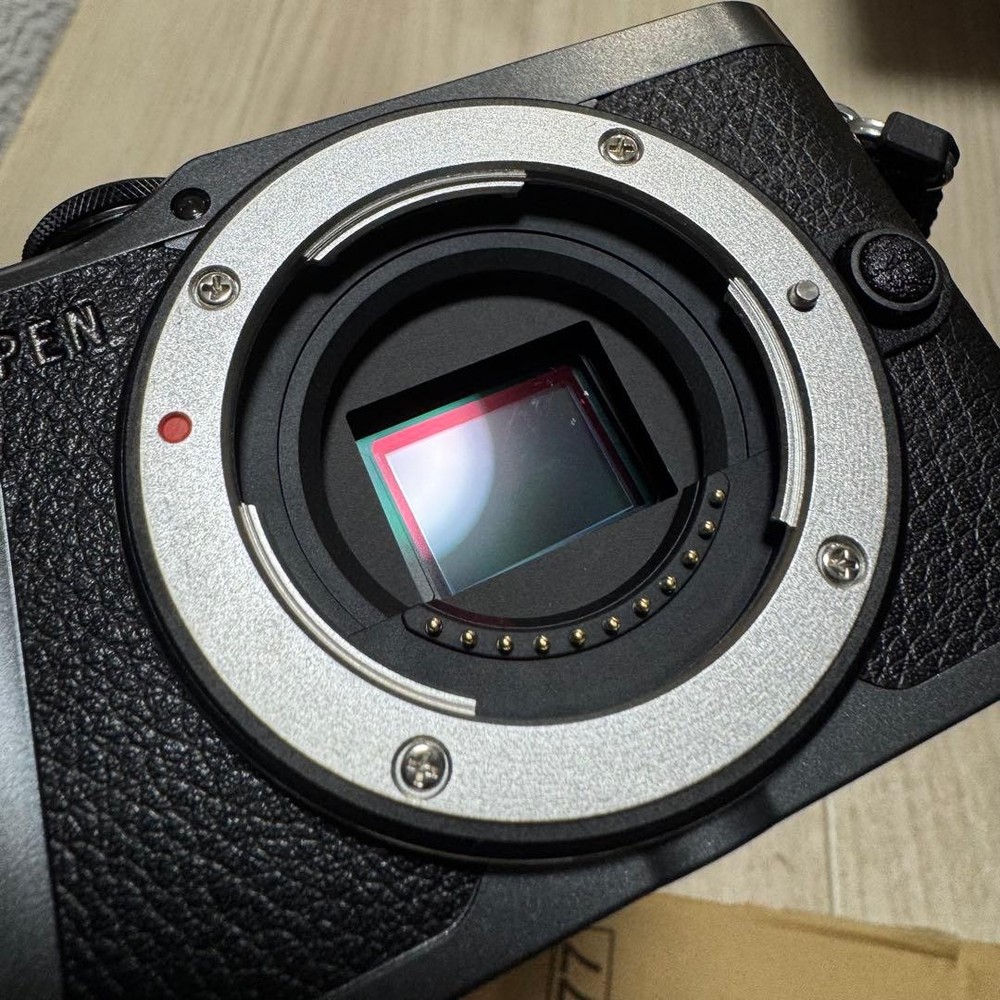 OLYMPUS PEN E-PL10 Mirrorless Camera Black Tested Used