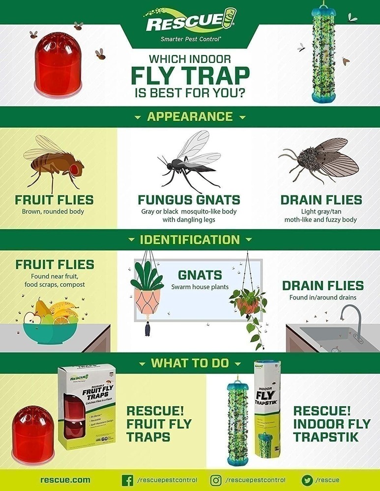 RESCUE! Fruit Fly Trap Bait Refill – 30 Day Supply – 10 Pack