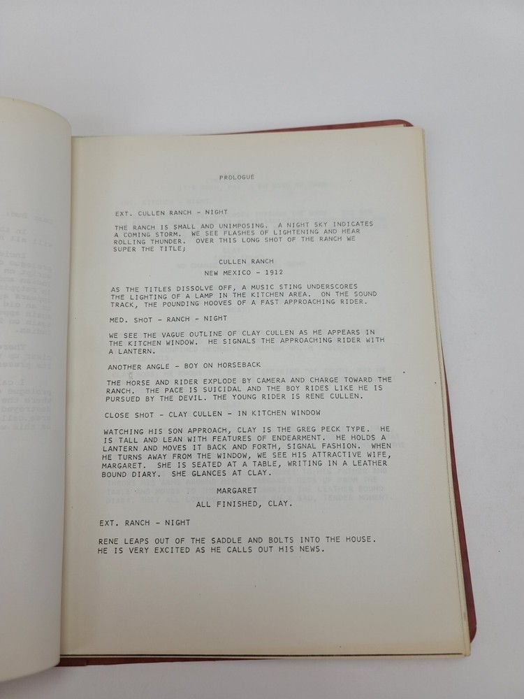 IN THE SPIDER'S WEB / Tom McGowan 1970's Unproduced Screenplay