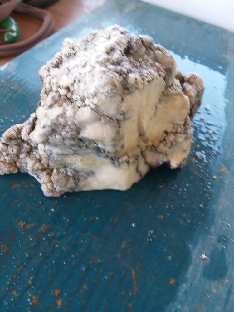 Lapidary Howlite Window Cut Spider Veining Collect Display