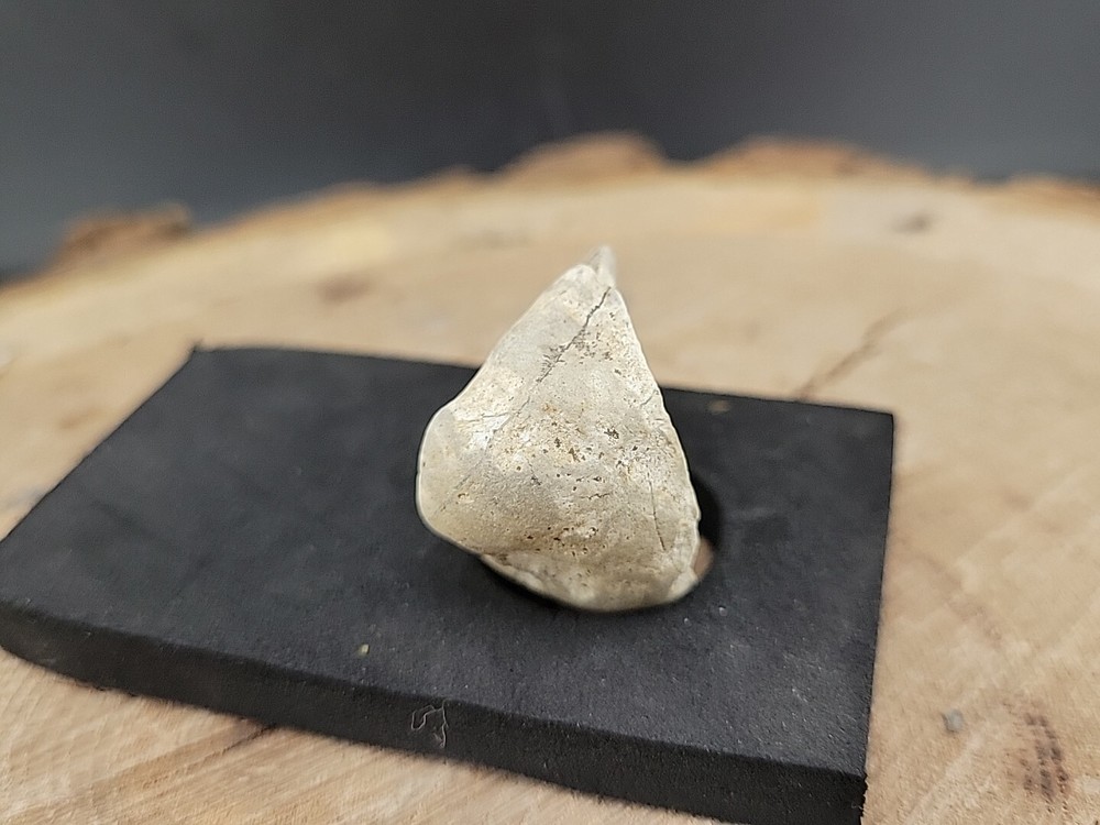 Real Fossilized Dinosaur Half Egg Embro Uv Reactive