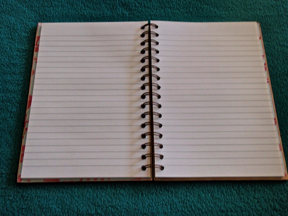 "HIGH MAINTENANCE" JOURNAL PINK WITH CROWN ON FRONT BLANK LINED PAPER~ NEW!