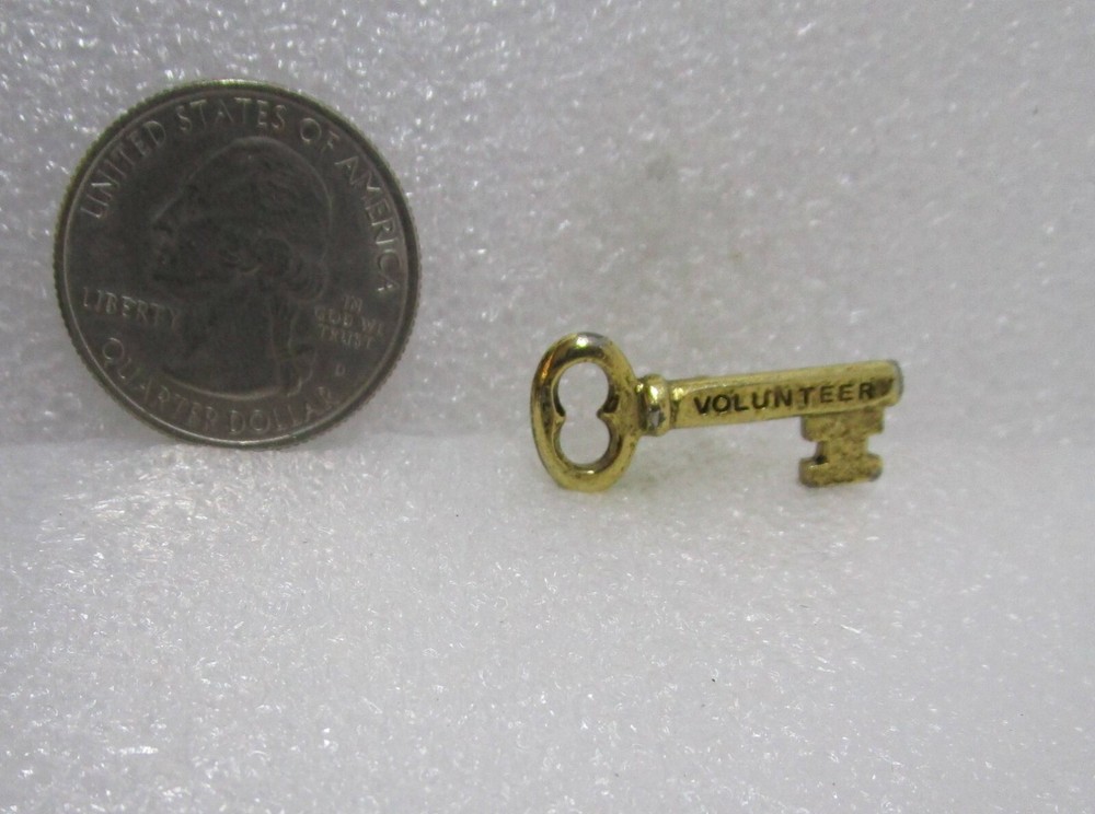 Volunteer Key Pin