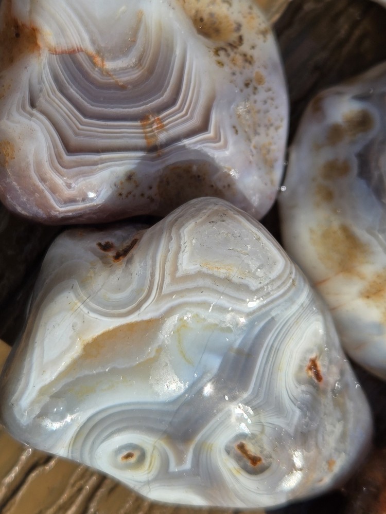 Botswana Agate Selects - WILD ONES - Rough, Natural, Not Polished A+ Grade