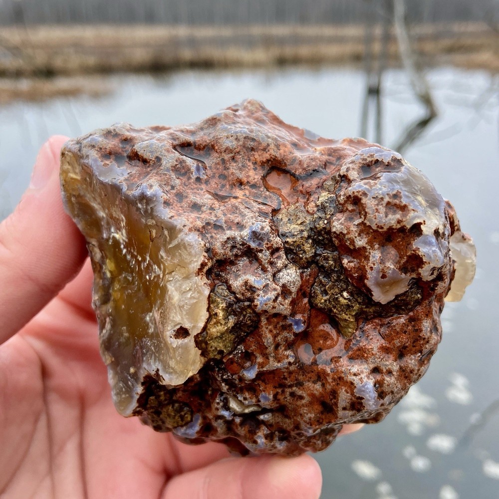 Gorgeous Yellow Agate Raw Lapidary Agate 1 Pound!