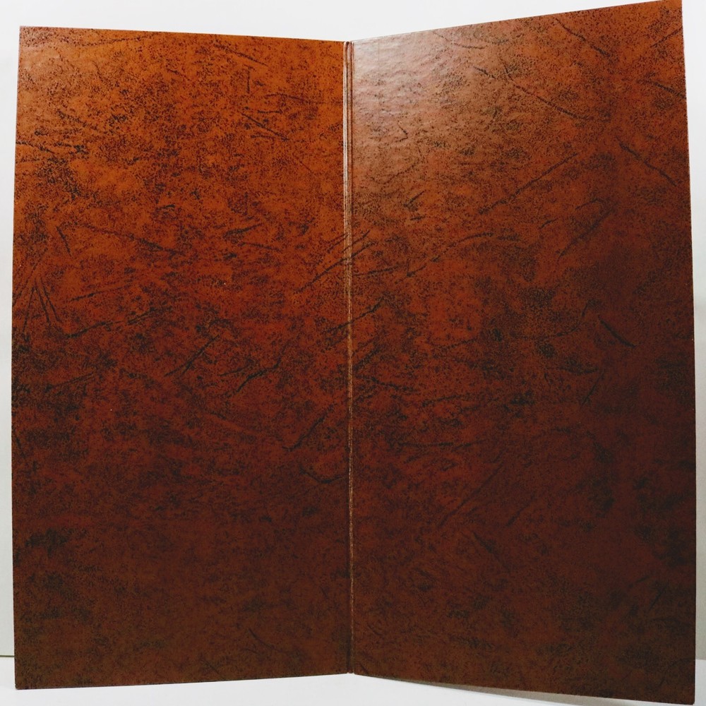 1973 Game Backgammon