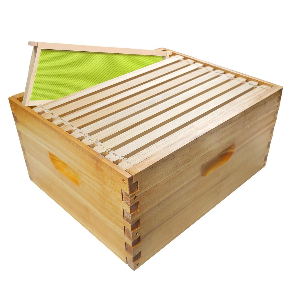 BeeQuestify 10 Frame Bee Hive Box Langstroth Deep Brood Dipped 10pcs