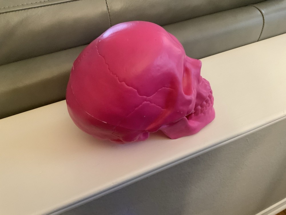 Hyde & EEK 6" Pink Plastic Skull Decorative Prop Decor