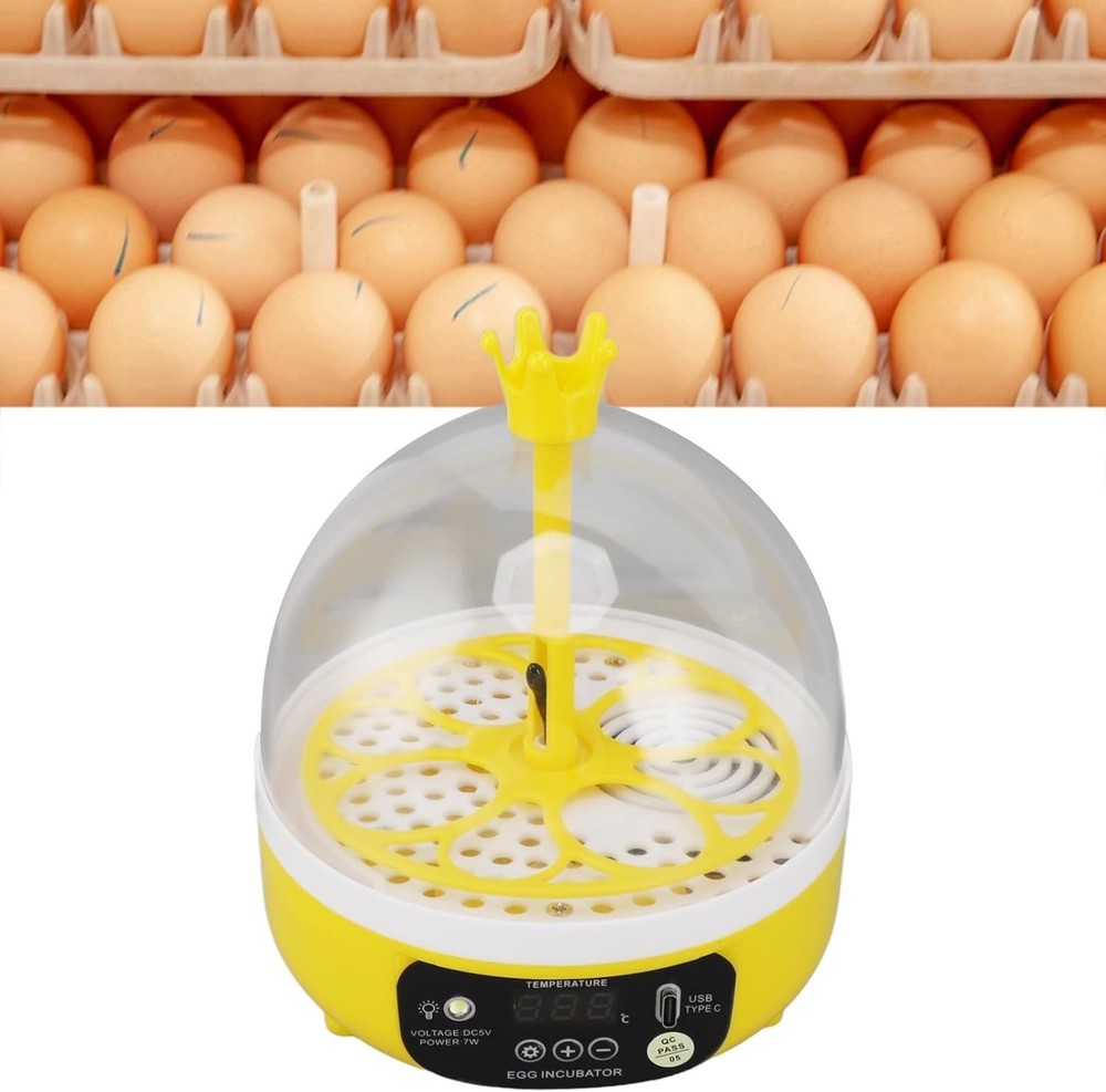 Mini Egg Incubator with Automatic Temperature Humidity Control, Transparent L...