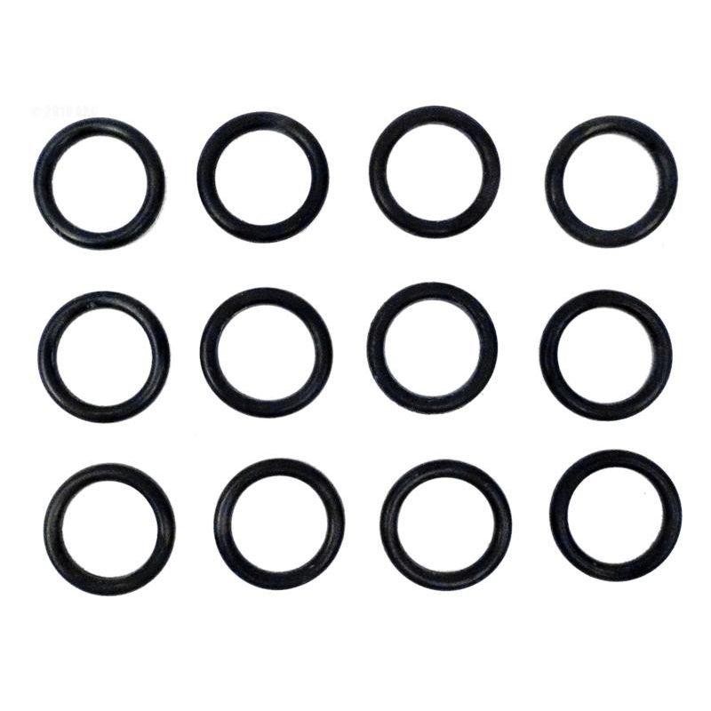 Pentair Coil/Tubesheet Sealing O-Ring Kit for Max-E-Therm 400/MasterTemp