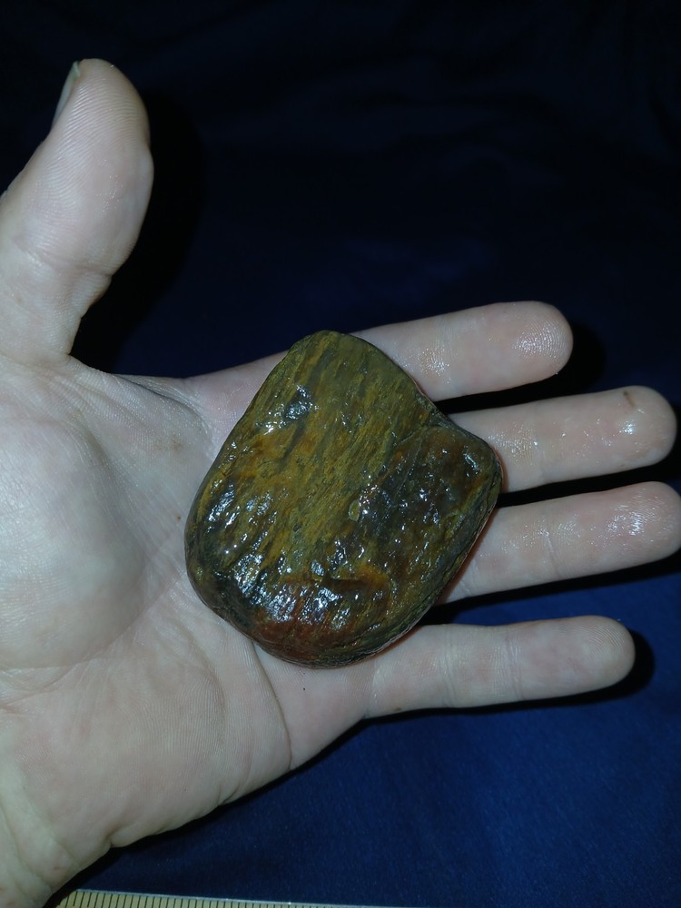 5.5 oz Agatized Texas Petrified Wood