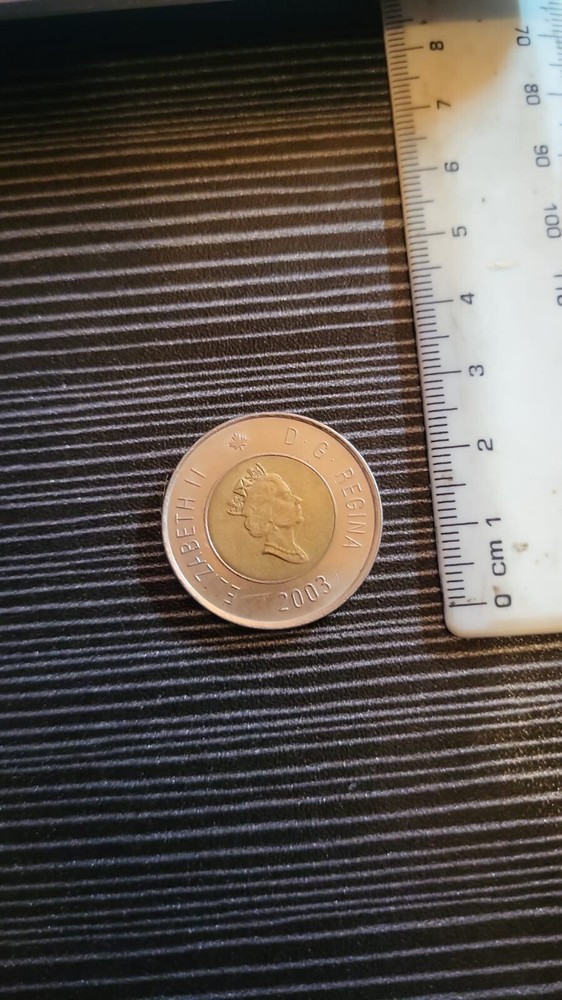 2003 canada 2 dollars bear portait