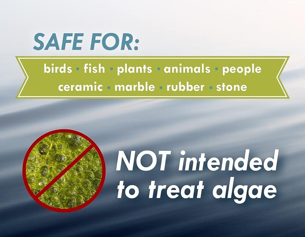 Birdbath and fountain Maintenance