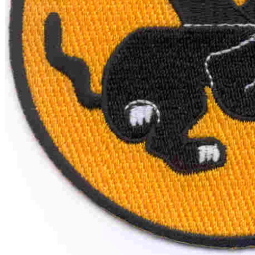 541st Airborne Infantry Regiment Patch