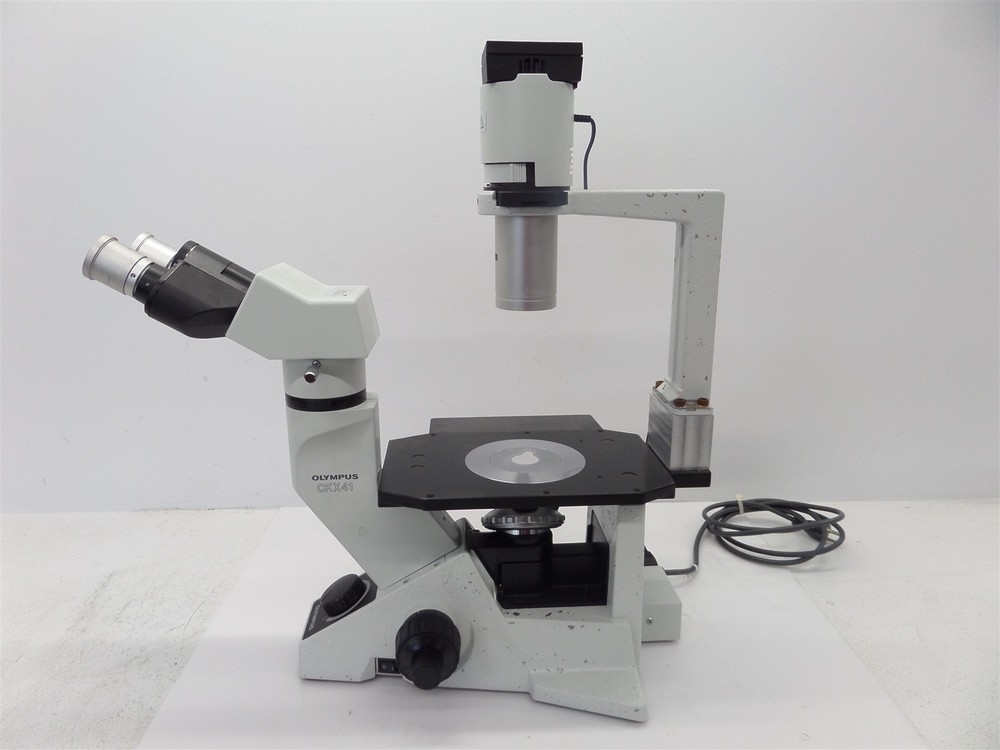 Olympus CKX41 Inverted Phase Contrast Microscope