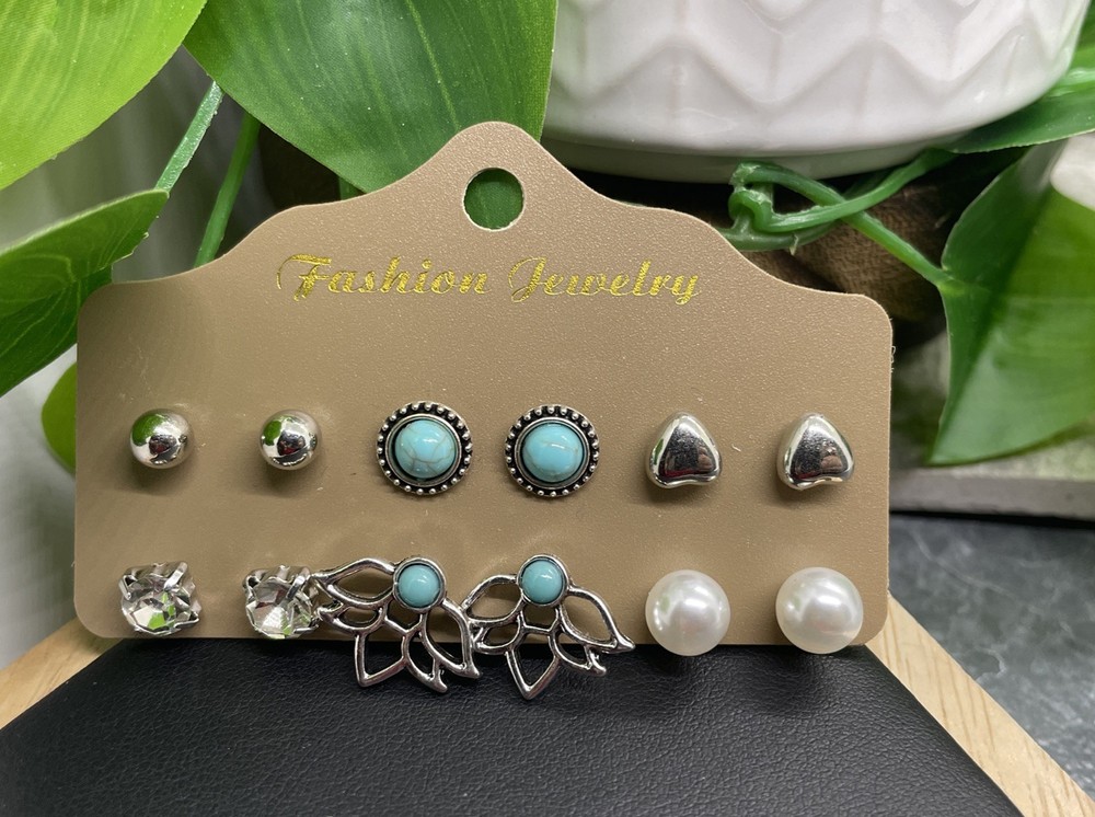 12 PC Matching Post Stud Earring Set Silver-Tone New Free Ship B7128