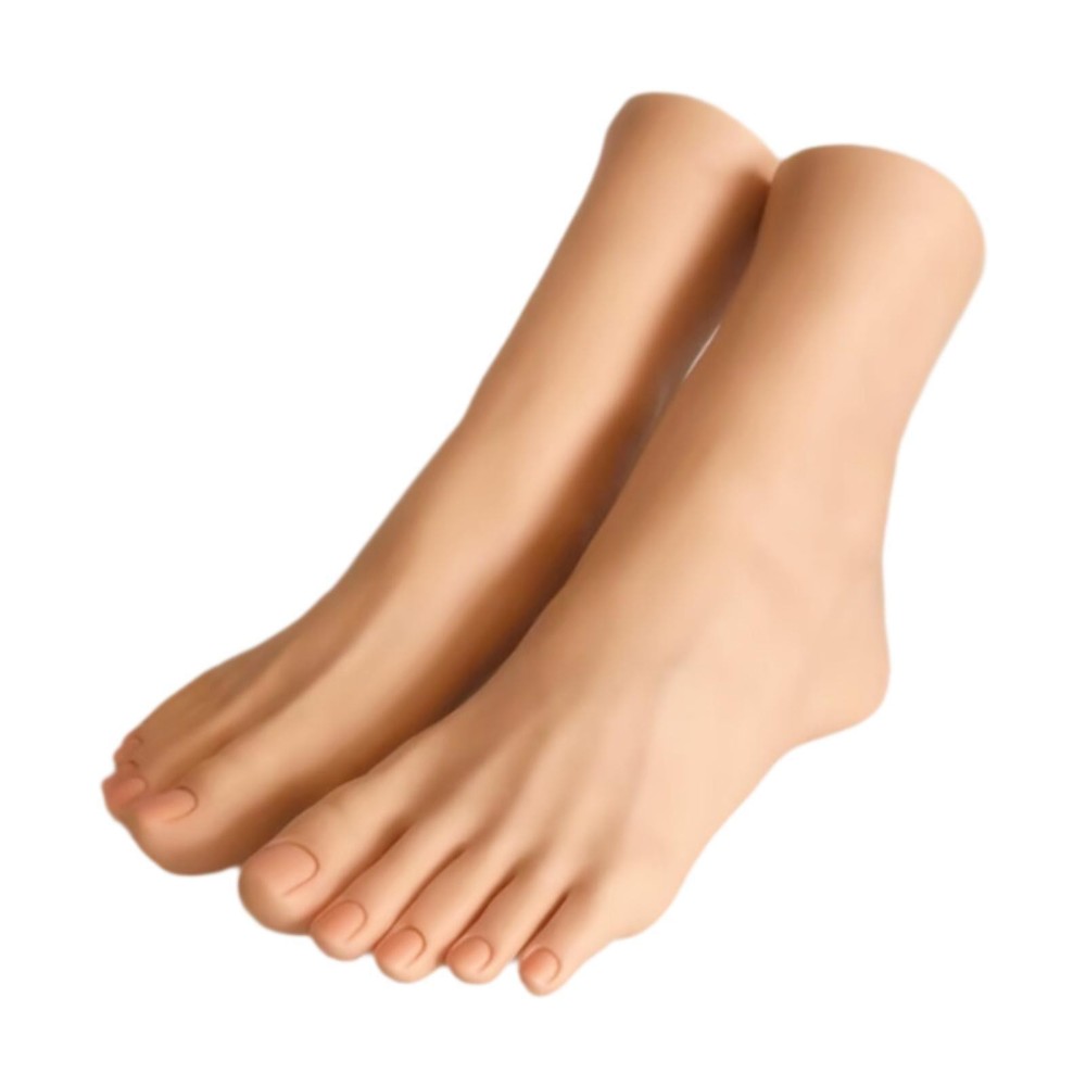 Feet Model Mannequin Foot Realistic