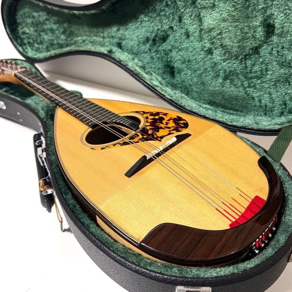 Good condition MONOPIA Mandolin with hard case included