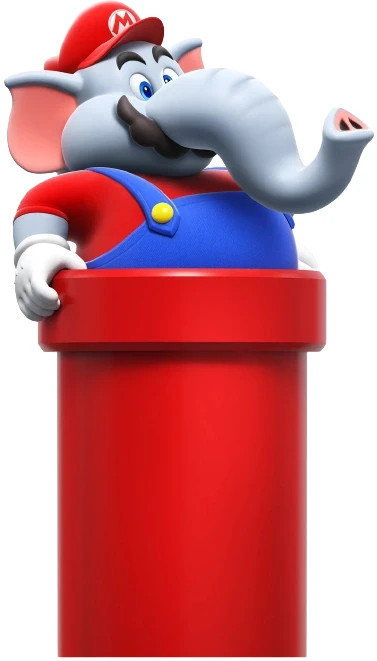 Super Mario Bros. Wonder Amiibo Cards