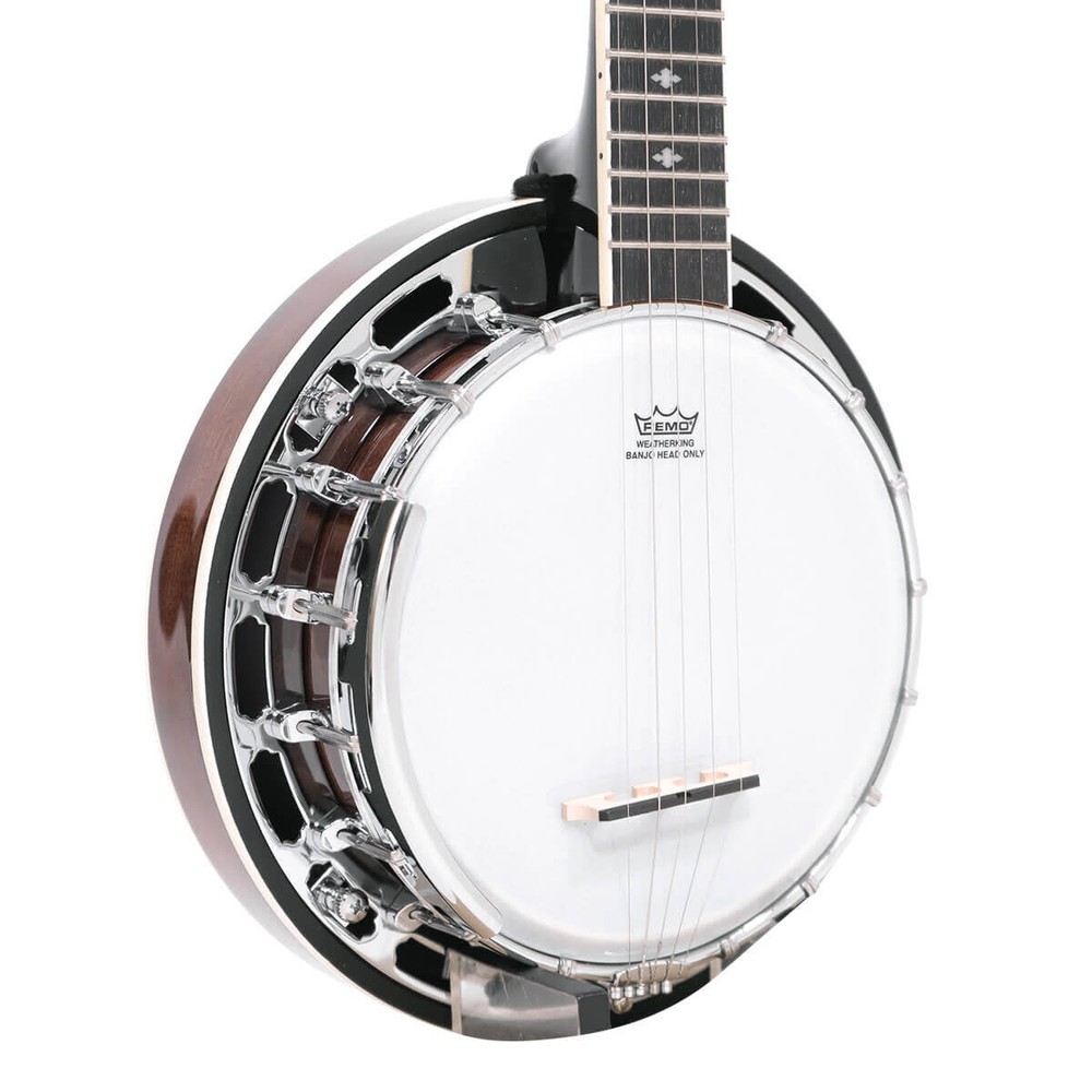 Gold Tone BG-150F Bluegrass Banjo with Bag