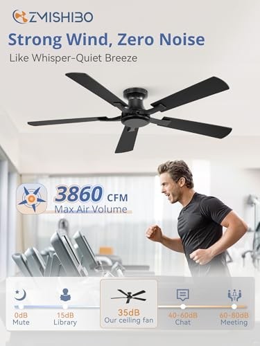 Ceiling Fan No Light, Flush Mount Low Profile, Modern Ceiling 52 Inch Black