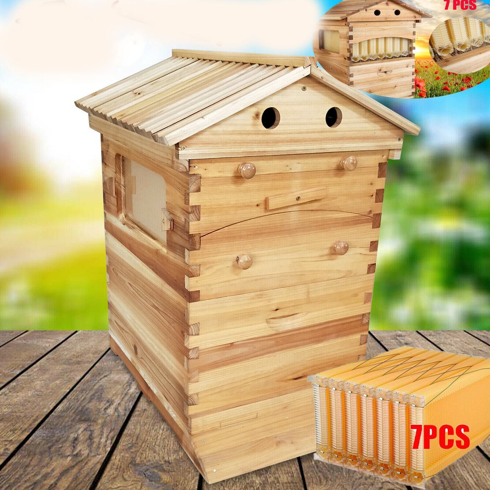 Cedar Wood Auto Bee hive Brood Box 7X Auto Honey Comb Beehive Frames Beekeeping