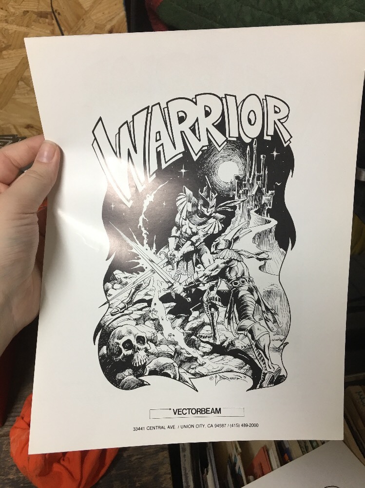 Cinematronics WARRIOR Rare Vector Game flyer- original
