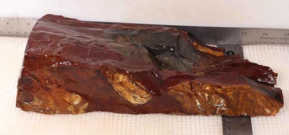 Biggs Scenic type Jasper lapidary 5 lb 10 oz end cut rough