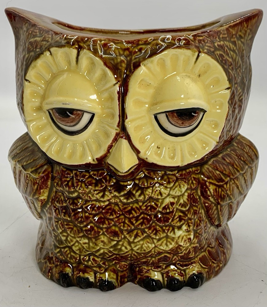 Claylicious Painted Ceramic Owl Planter Pot
