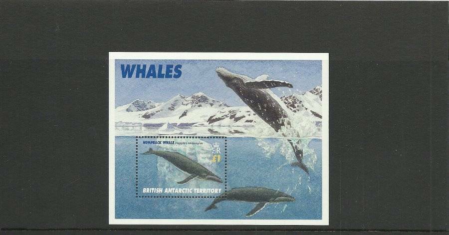 BRITISH ANTARCTIC TERRITORY SGMS269 WHALES MNH