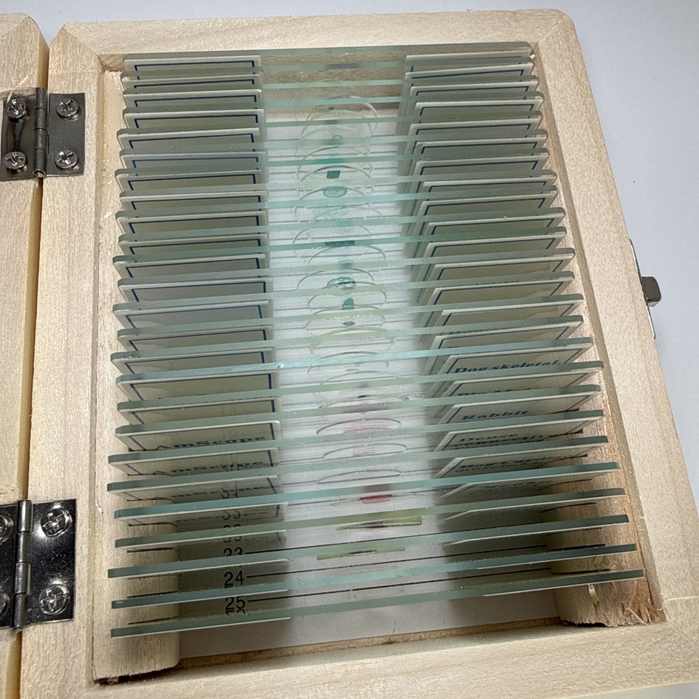 AmScope 25 Prepared Microscope Slide Set for Basic Biological Science