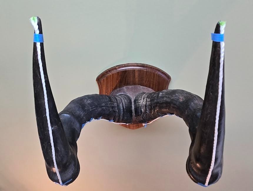 Red Hartebeest Plaque Mounted Horns