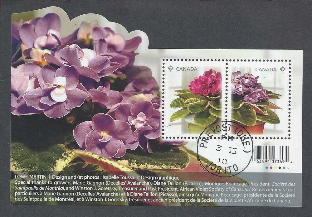 2010 African Violets Souvenir Sheet CDS Cancel USED
